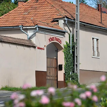 Fonix Panzio * Eger