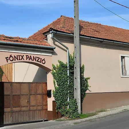 Fonix Panzio *