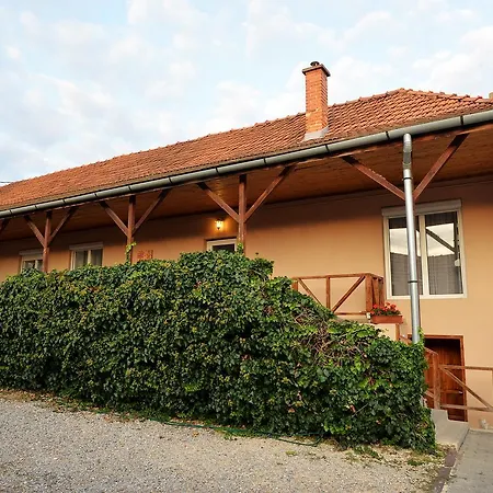 Bed & Breakfast Fonix Panzio *